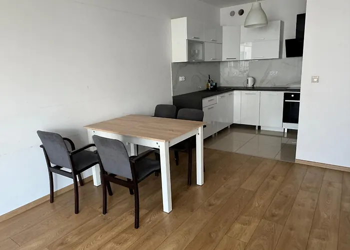 Nad Warta W Poznaniu W Centrum ポズナン